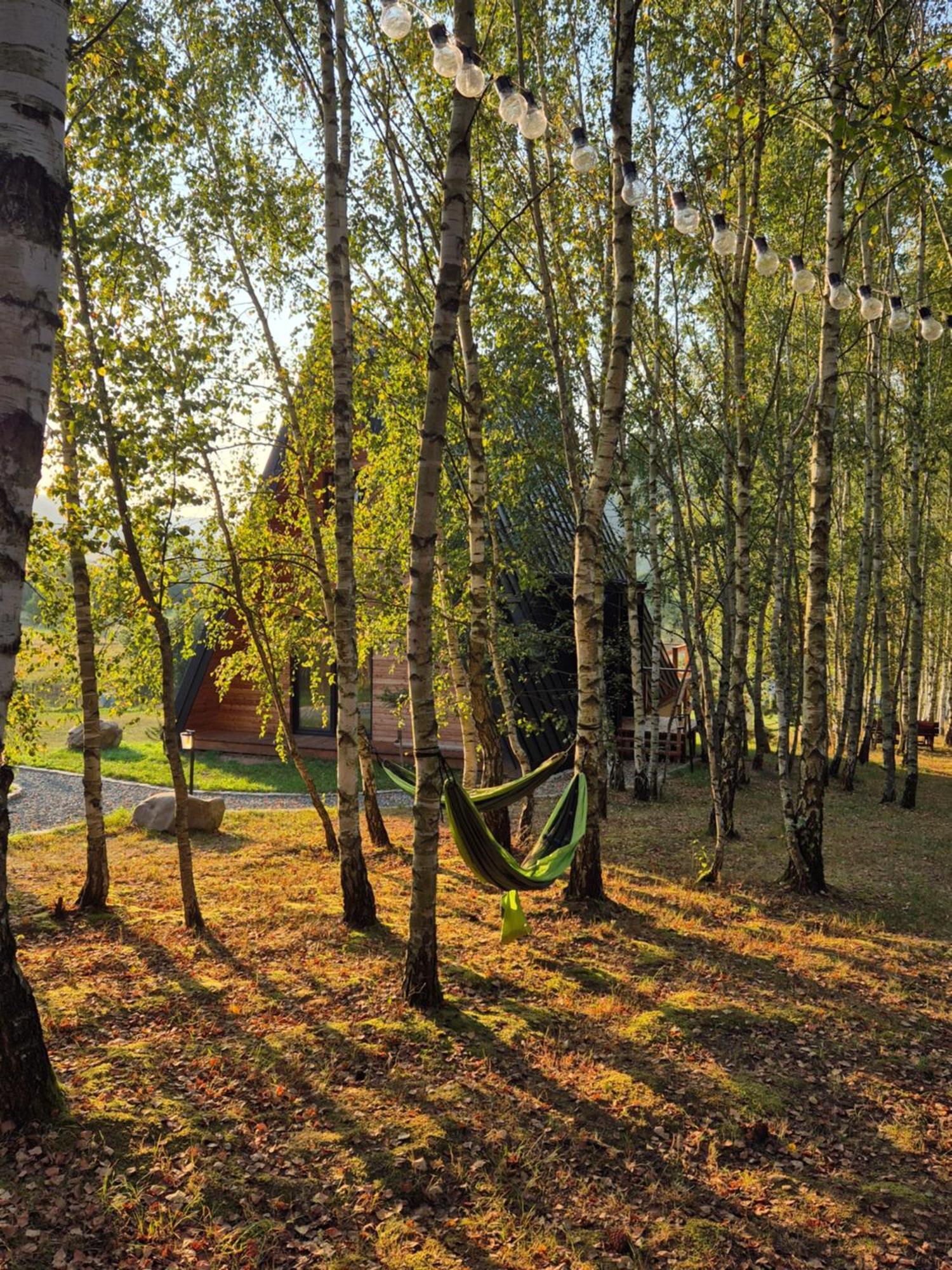 Brda Na Skraju Lasu Wambierzyce Bagian luar foto